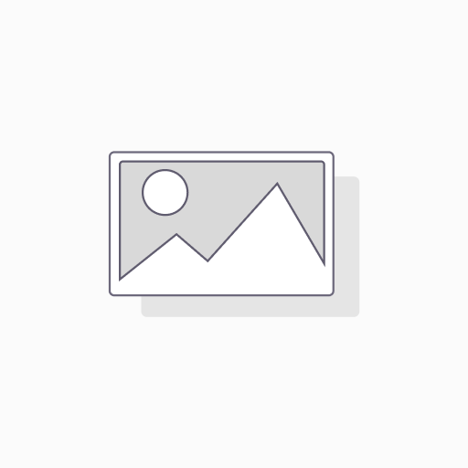 [1320] Icaro 2000 | Latten Clips
